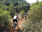 Αθήνα - 3ος MTB Γύρος Ποικίλου Όρους